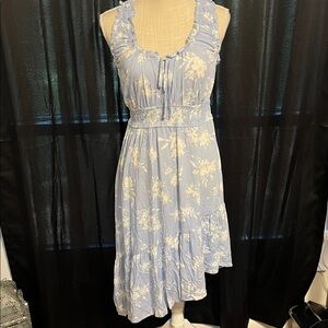 Pink Rose Light Blue Floral Dress